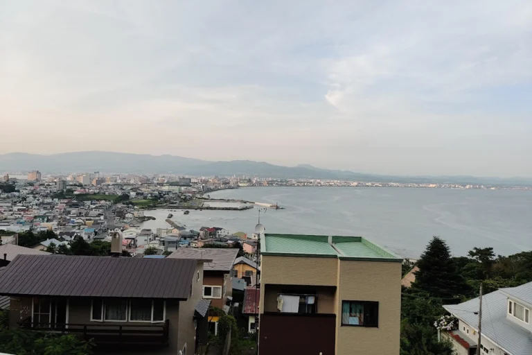 View of Hakodate from Kira